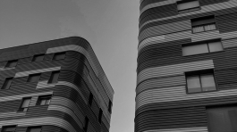 imageonline-co-blackandwhiteimage-3-2